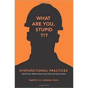 Dysfunctional Practices That Kill Your Safety Culture